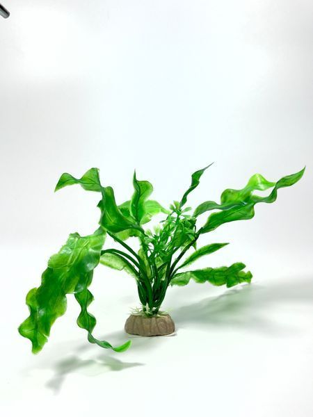 ROYPET Sztuczna roślina akwariowa zielona 20cm, Art.- 000000